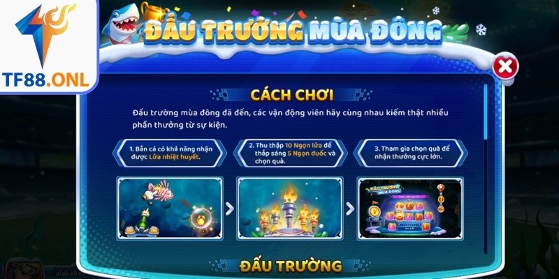 Các bước tham gia